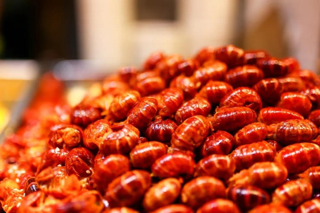 五一哪里去西安机票便宜,八月西安出发哪里机票便宜