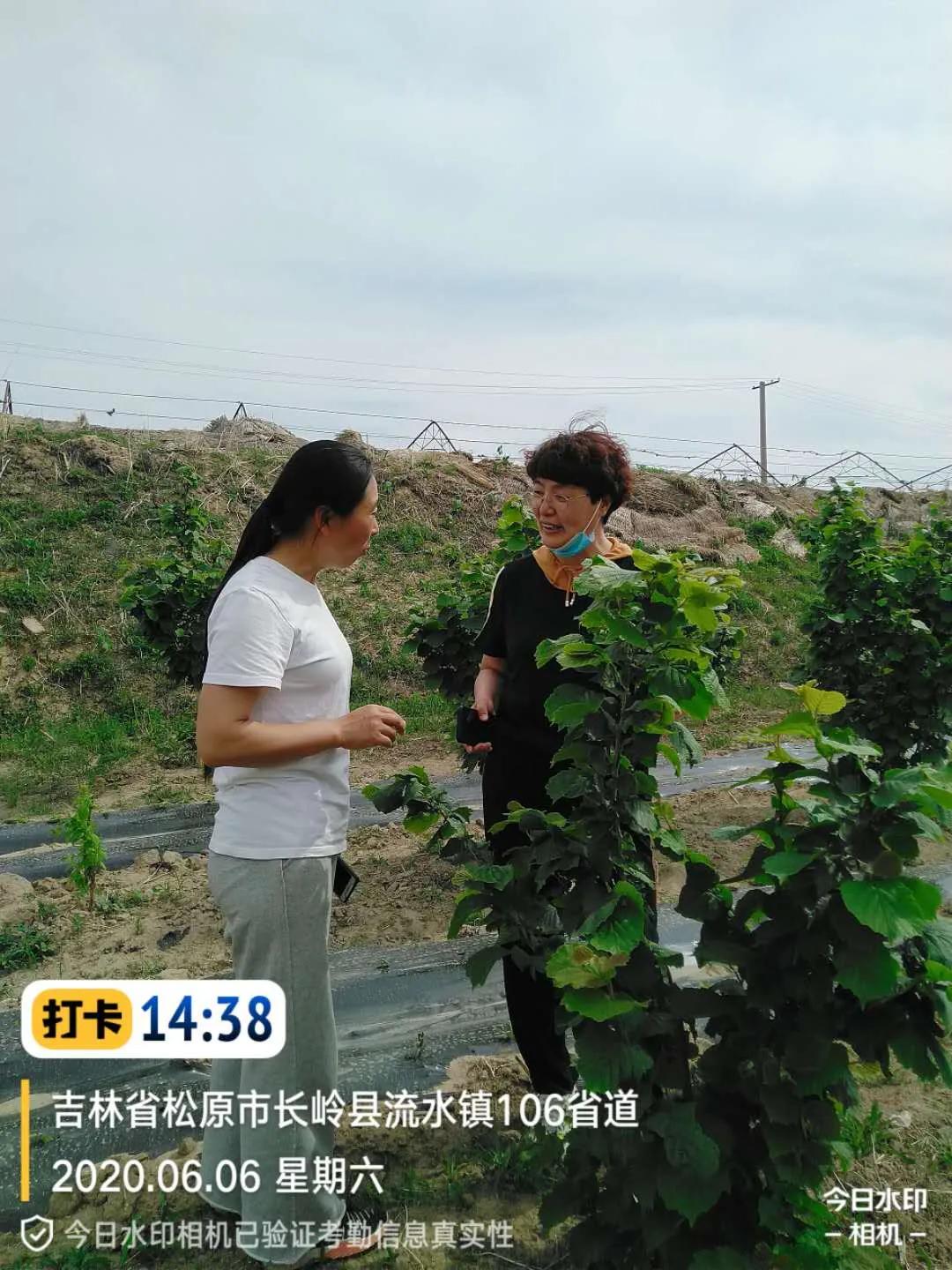 松原市百名专家顾问团助力决战决胜脱贫攻坚进行时