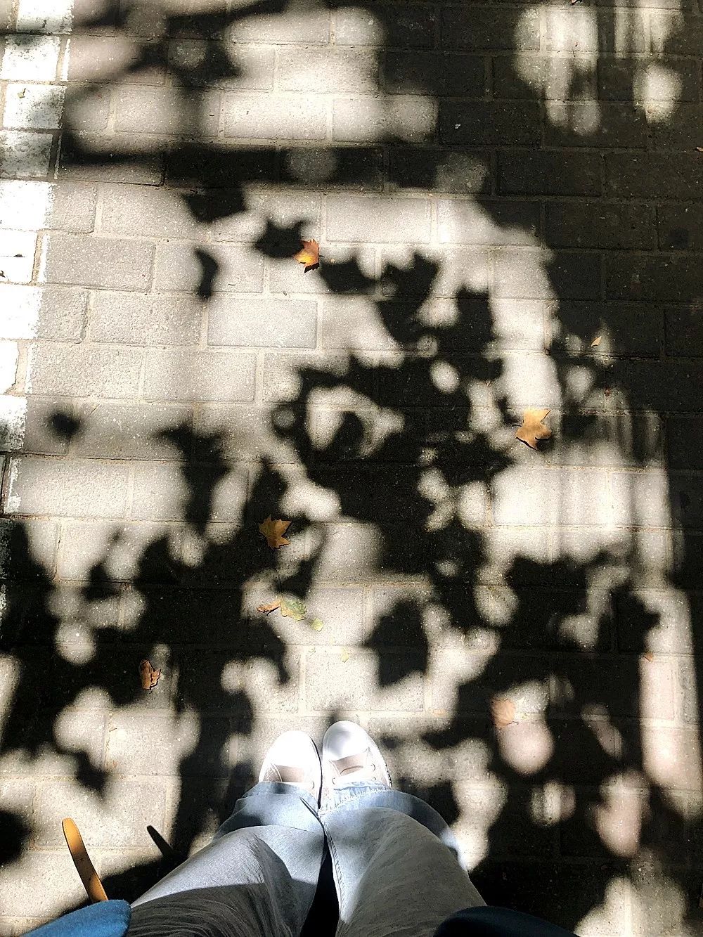 1小时逃离无锡，值得来魔都打卡的马路网红店