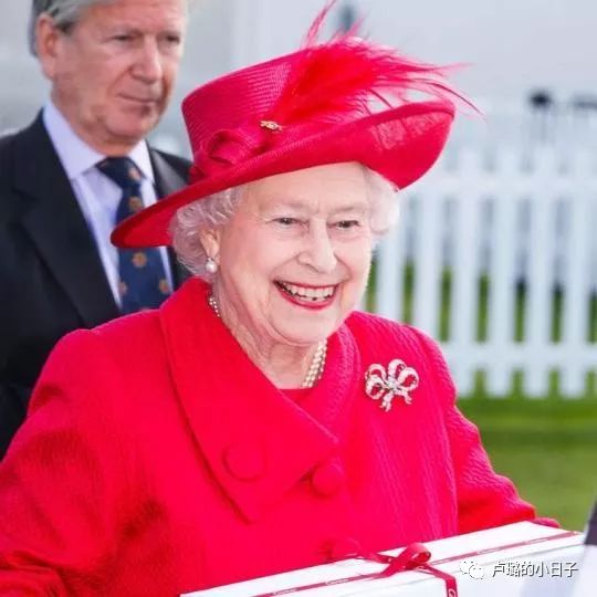 英国女王胸针高档轻奢,女王最贵胸针排行榜