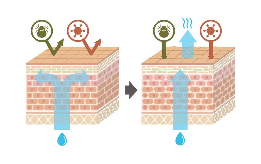 停手！身体这些地方，太爱“干净”反而易生病！