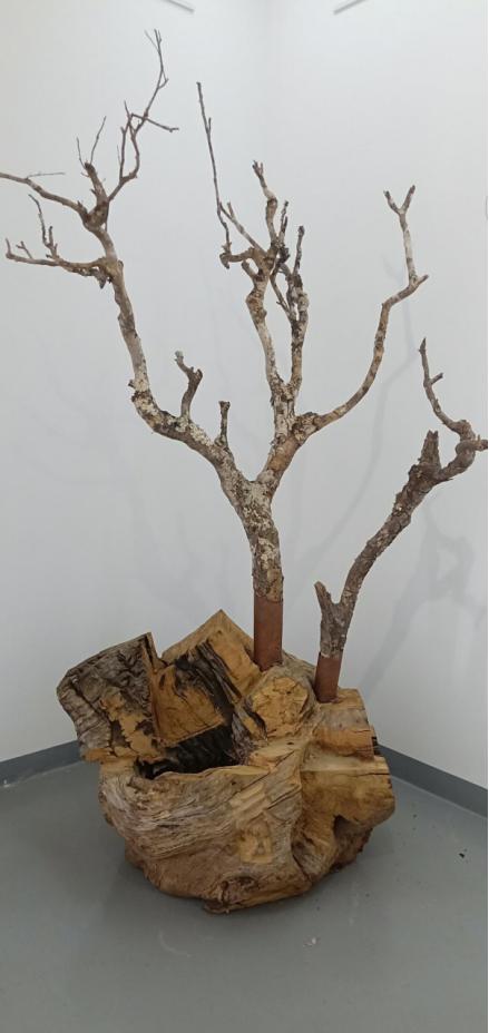 小罗伯特唐尼为什么就是钢铁侠,小罗伯特唐尼公布自己是钢铁侠