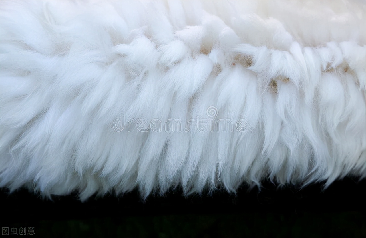 毛毛衣服掉毛怎么补救,毛毛衣服掉毛严重怎么处理