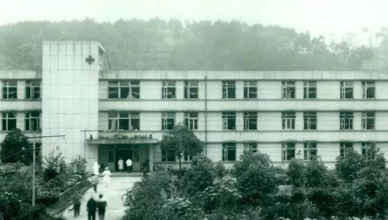 莆田系的家族名单,莆田系宗族故事