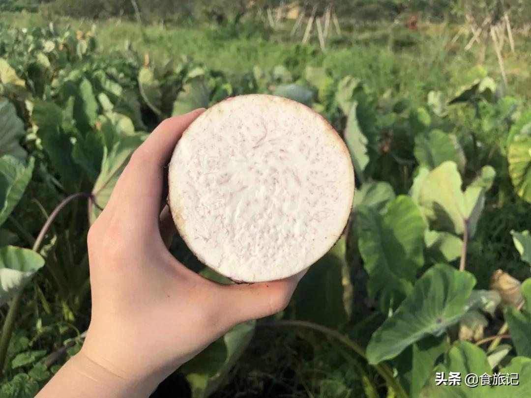 荔浦芋头甜品甜而不腻,家庭简单荔浦芋头的甜品