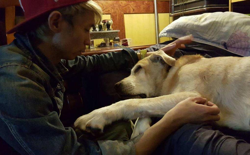 狗狗要喝什么水,狗狗每天喝几次水最好