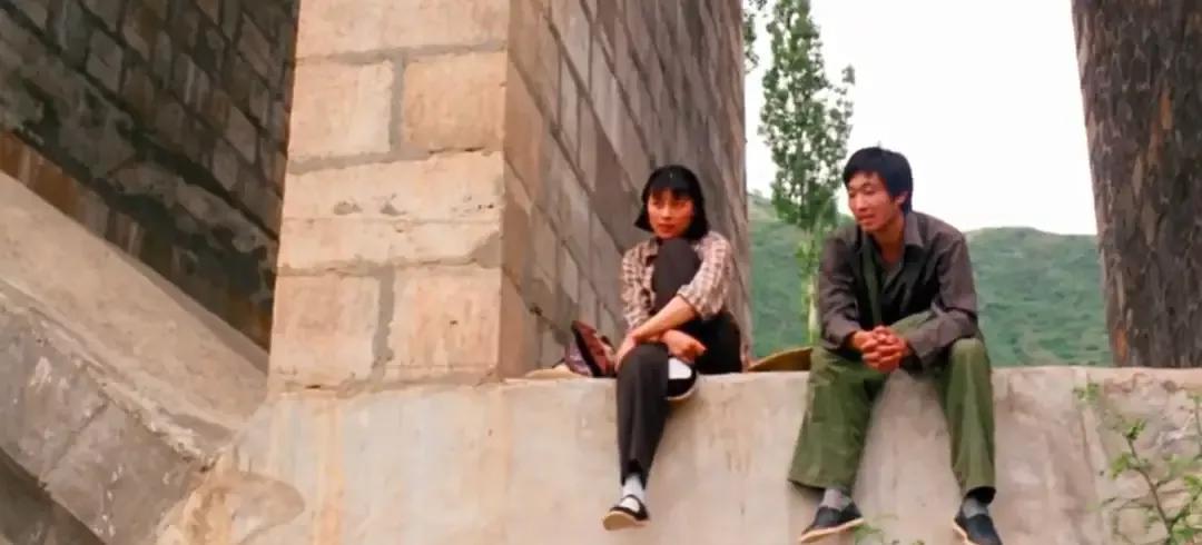 鸡窝洼人家完整版,鸡窝洼的人家全文免费在线阅读