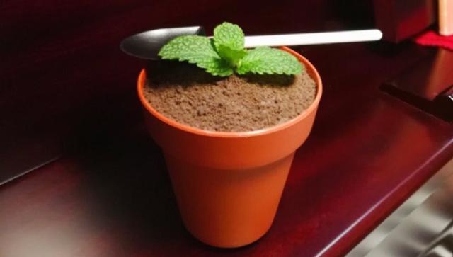 喝纯牛奶好还是纯奶粉好,喝纯牛奶好还是酸奶好