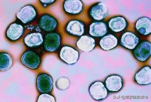 人类的记忆力是最厉害的吗,人类的记忆会随着时间变短