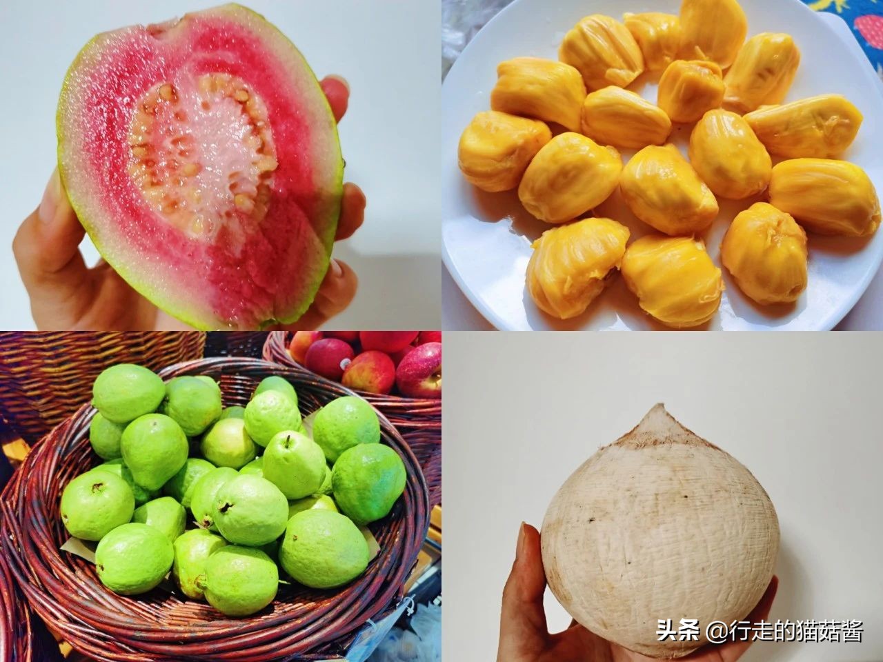 第一次去海南,海南旅游哪里的海鲜最实惠