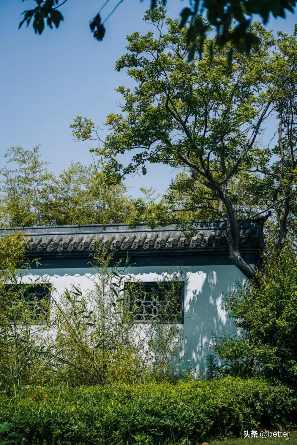 武汉人自己的水乐园,武汉全是水的公园