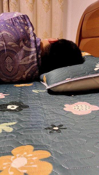 薄枕头睡觉专用测评,连体枕头测评