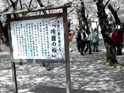 日本求的御守怎么处理,日本御守放在哪里