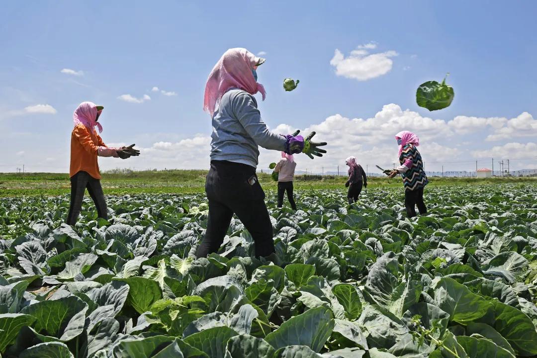 脱贫攻坚彪炳史册,伟大壮举中国脱贫攻坚成就展视频