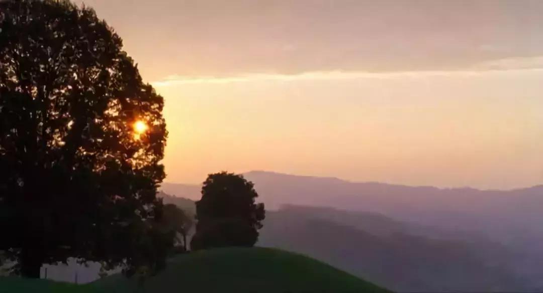 豆瓣8.3分的冷门电影,豆瓣8.4高分0差评冷门催泪片