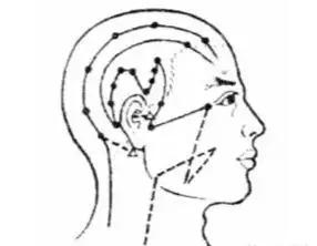 12种穴位拍打操,最好的中医推拿理疗
