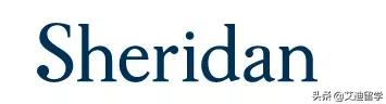加拿大college带薪实习,加拿大40所带薪实习院校