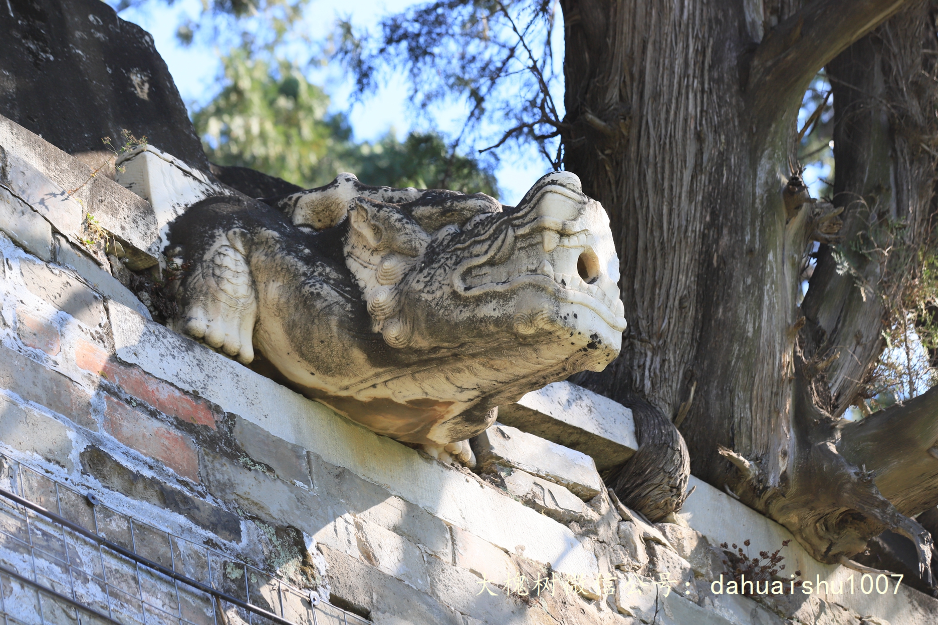 嘉靖陵墓永陵和永乐大典,明朝十三陵之永陵