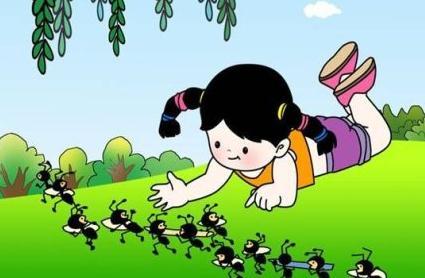 生活的智慧完整版,生活的智慧简短感悟