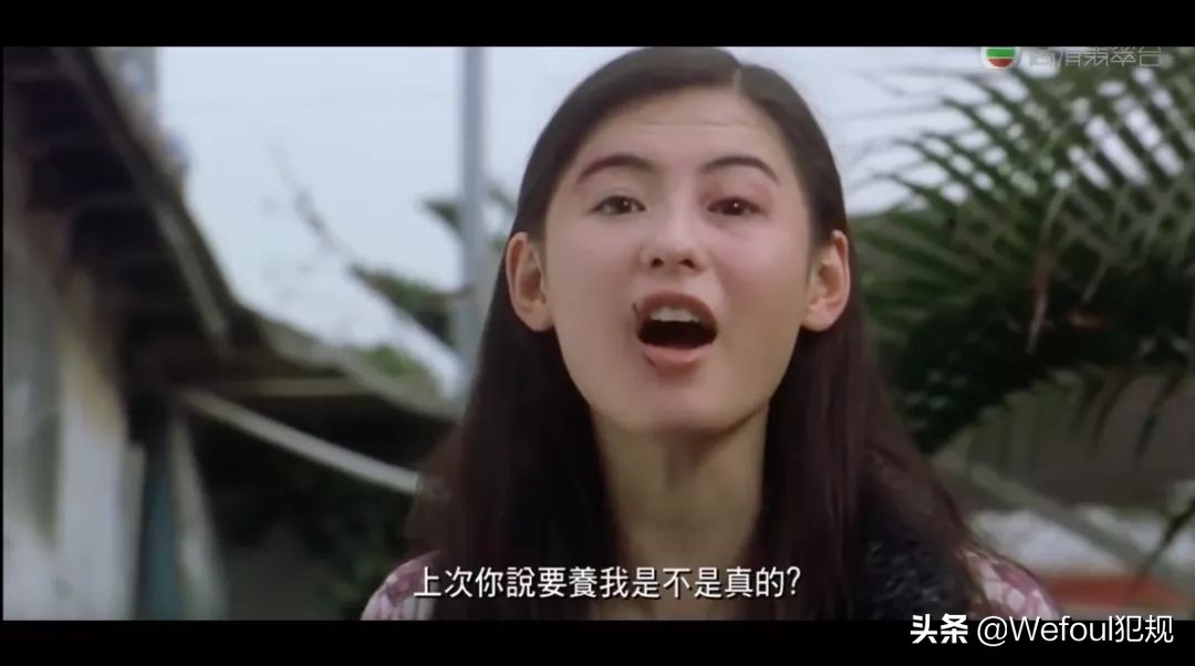 杨震足彩最新推荐,杨震足彩最新一期