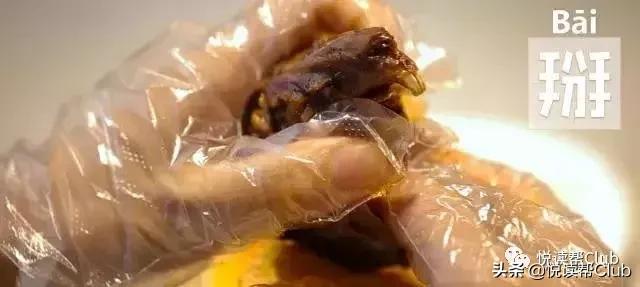 连成都人都赞不绝口的兔头空降安顺！这些兔兔还是安顺人自家养的