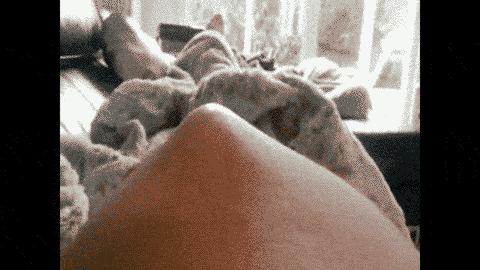 怀孕后多久出现胎动？正常的胎动次数是多少？如何数胎动？