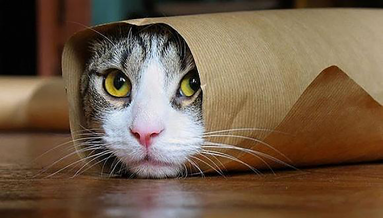 眉毛设计不对称的原因,眉毛不对称怎么办