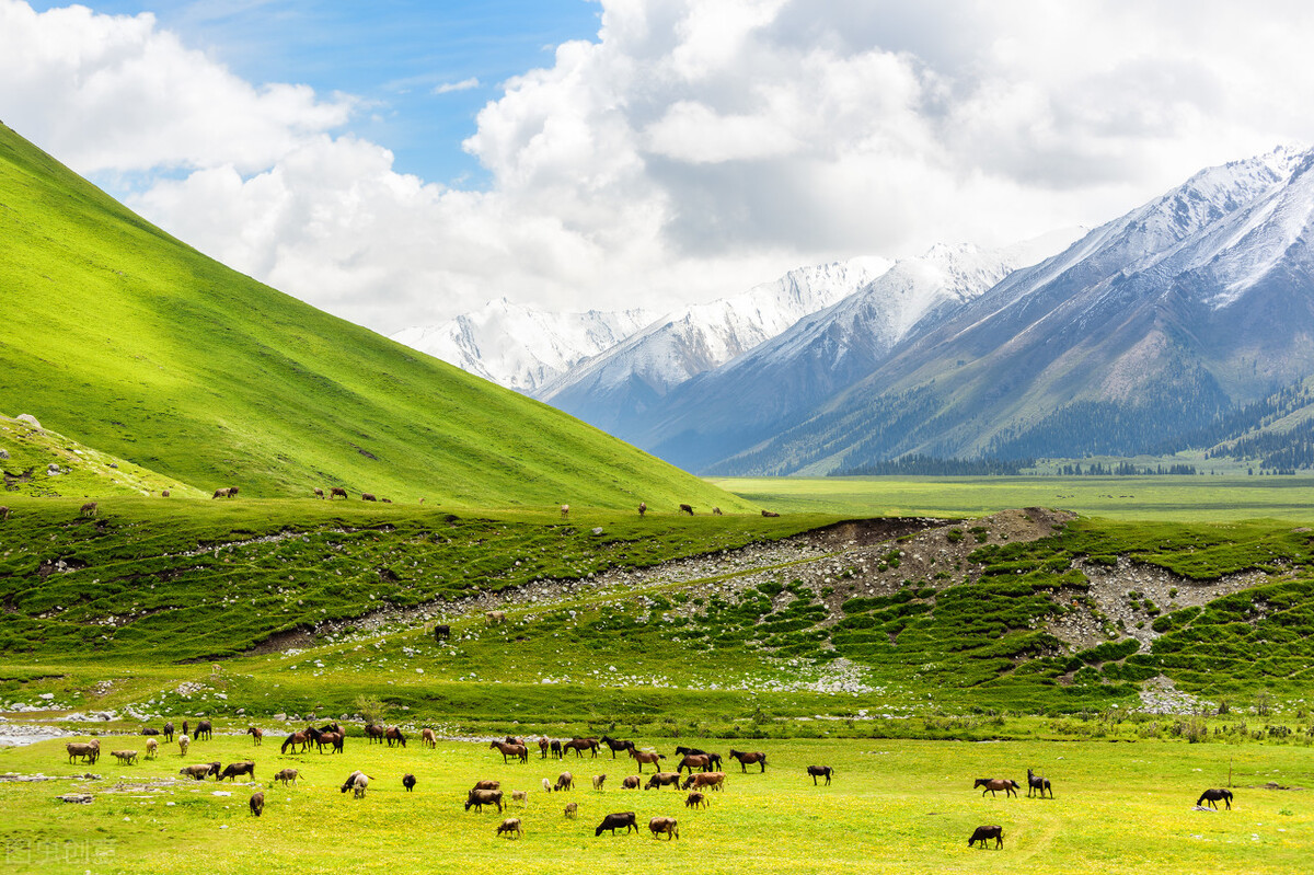 独库公路网红攻略,独库公路环线自驾游攻略