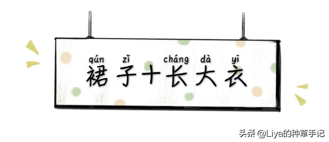 半裙+外套，连衣裙+外套=今春王炸组合
