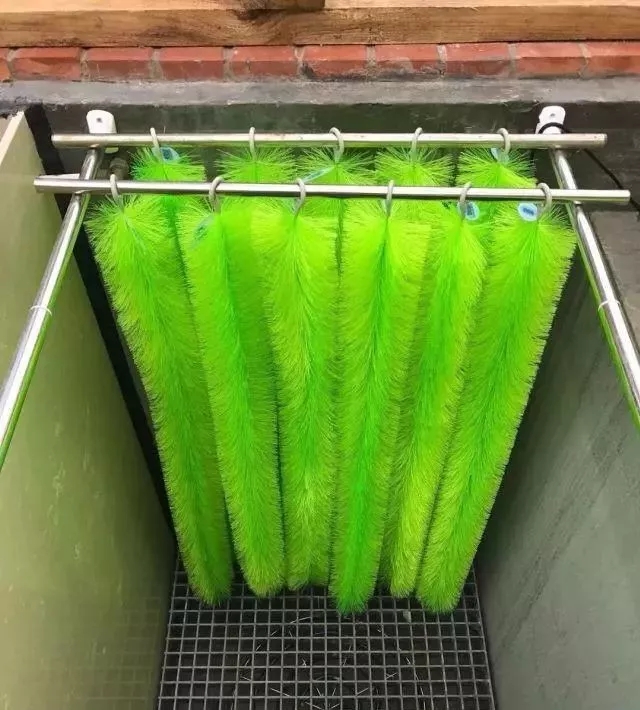 庭院锦鲤鱼池过滤改造,小院锦鲤鱼池建造过程