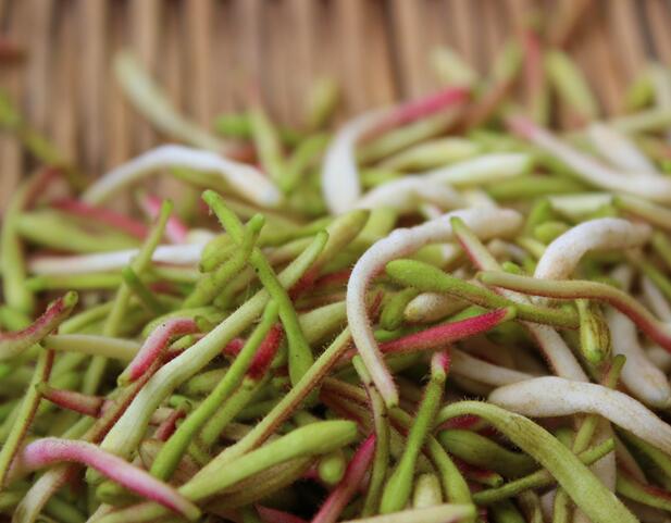 牙龈出血口臭怎么治疗牙周炎,牙龈红肿出血怎么回事牙周炎