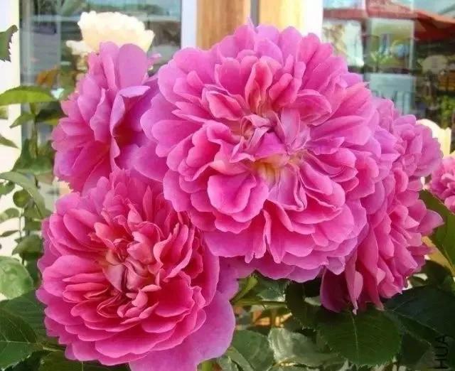 每天学习一点点女性小常识,每天学习一点点科普一下