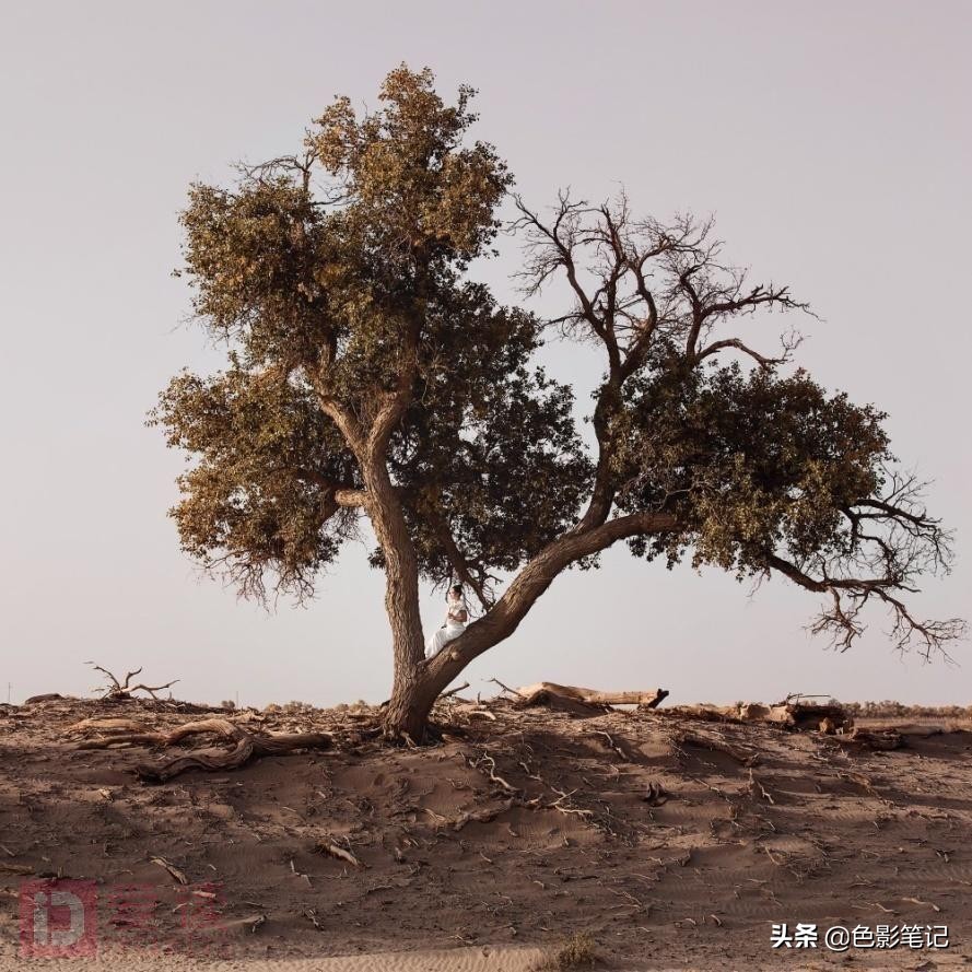 焦作零基础学摄影化妆短期班推荐,摄影先学什么课