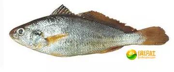 舟山海鲜攻略2天1晚住宿自由行,舟山最好的海鲜