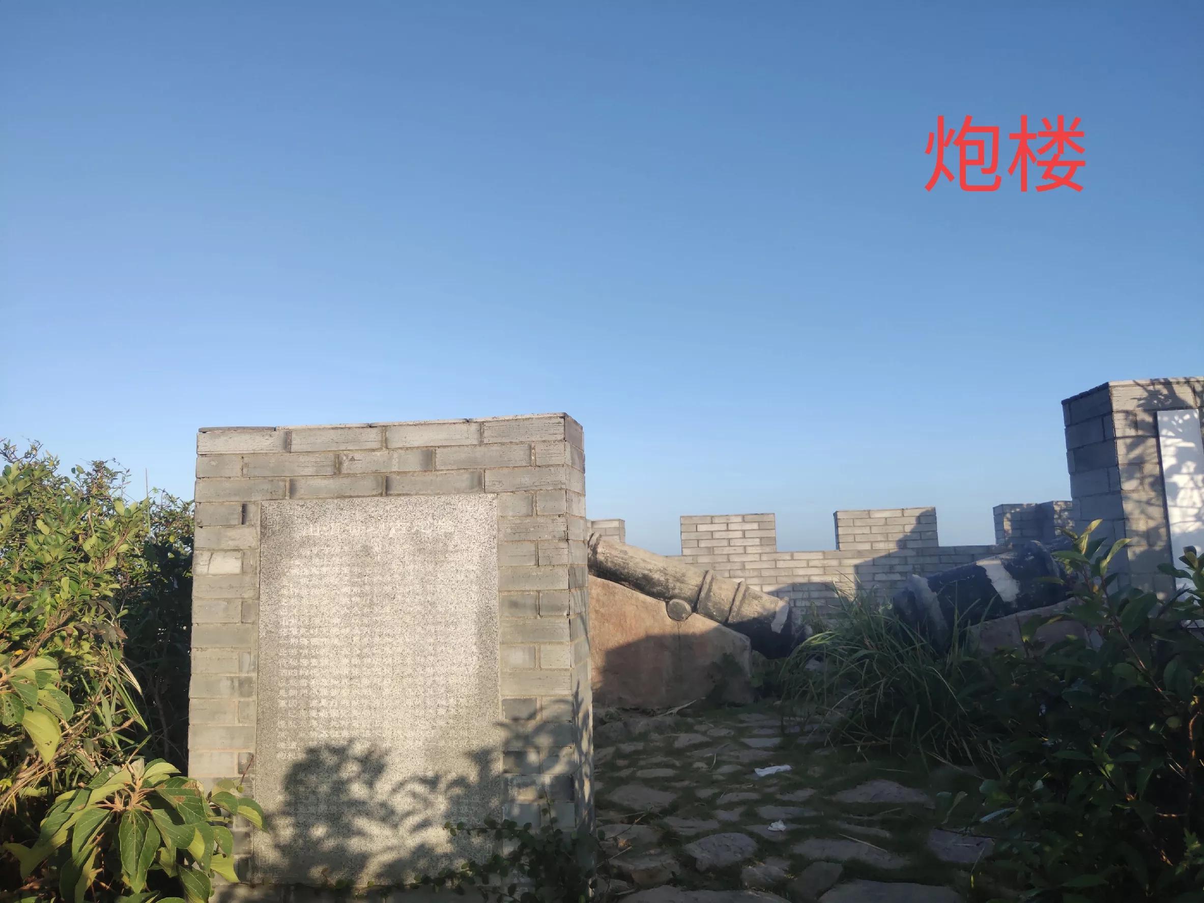 上海到枸杞岛自驾攻略 (上海到枸杞岛)