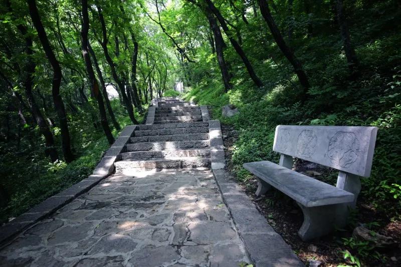 抱犊崮风景区高考门票免费,抱犊崮门票半价政策
