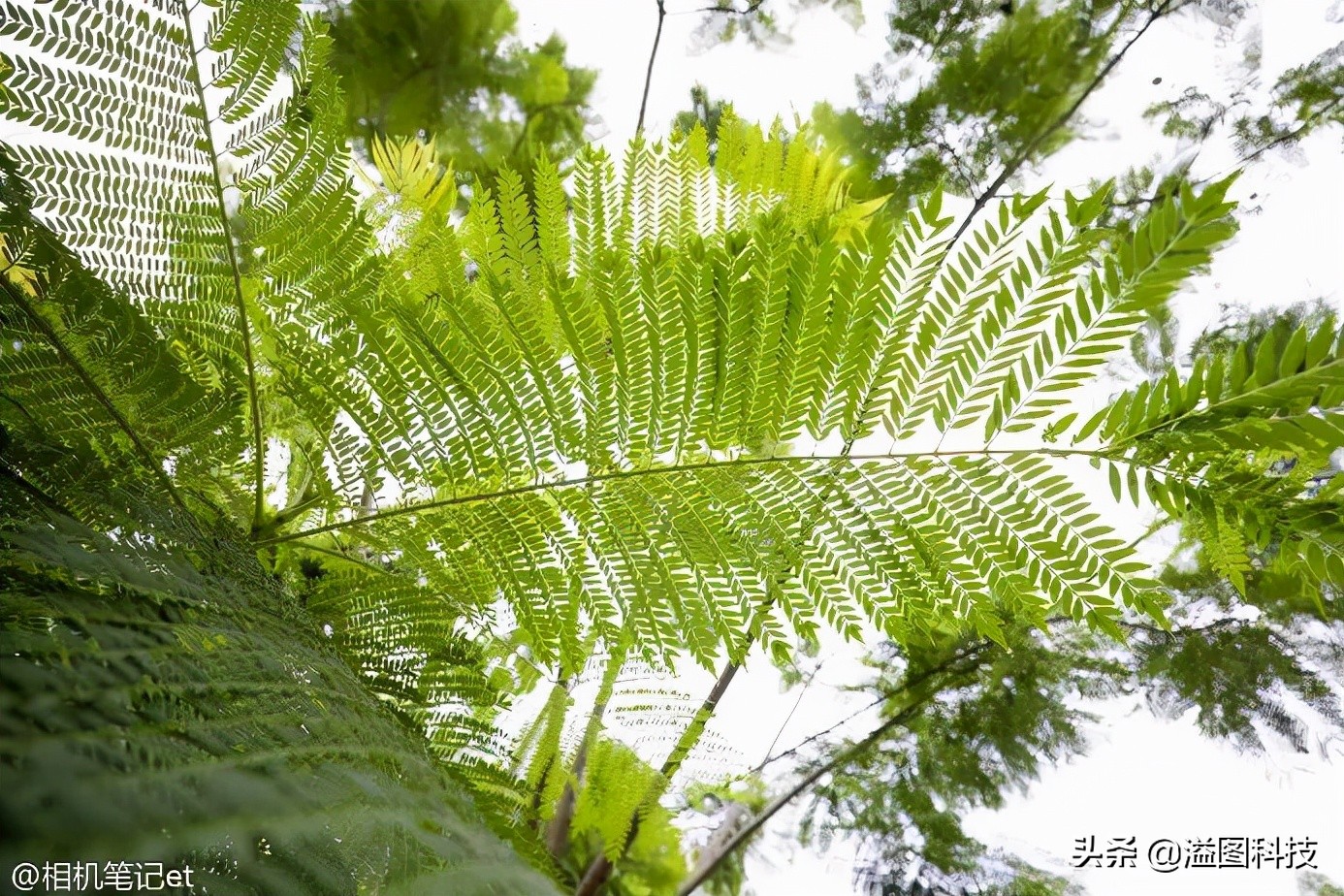 佳能rf351.4镜头评测,佳能rf14-35mmf4拍摄效果