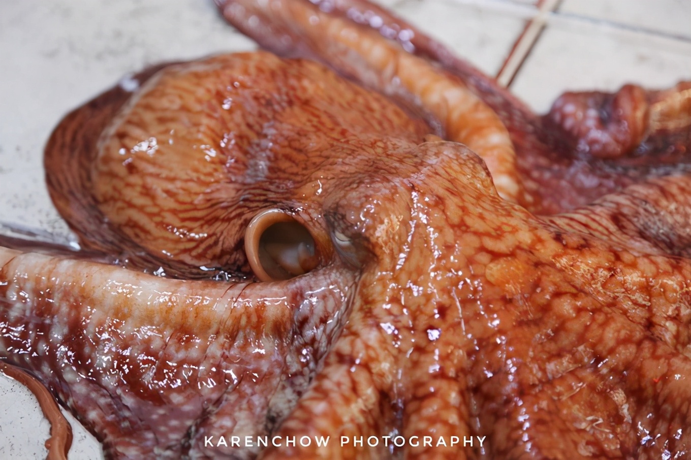 閲滃北濂界帺涓庡ソ鍚冪殑鍦版柟,閲滃北鏃呮父缇庨