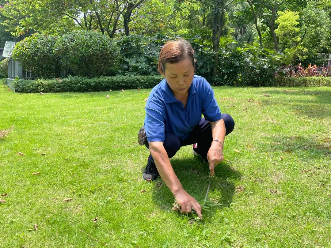 华润物业业务部,华润物业招标