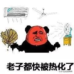 屁股温度38.5要用退烧药吗,臀部冰凉捂热方法