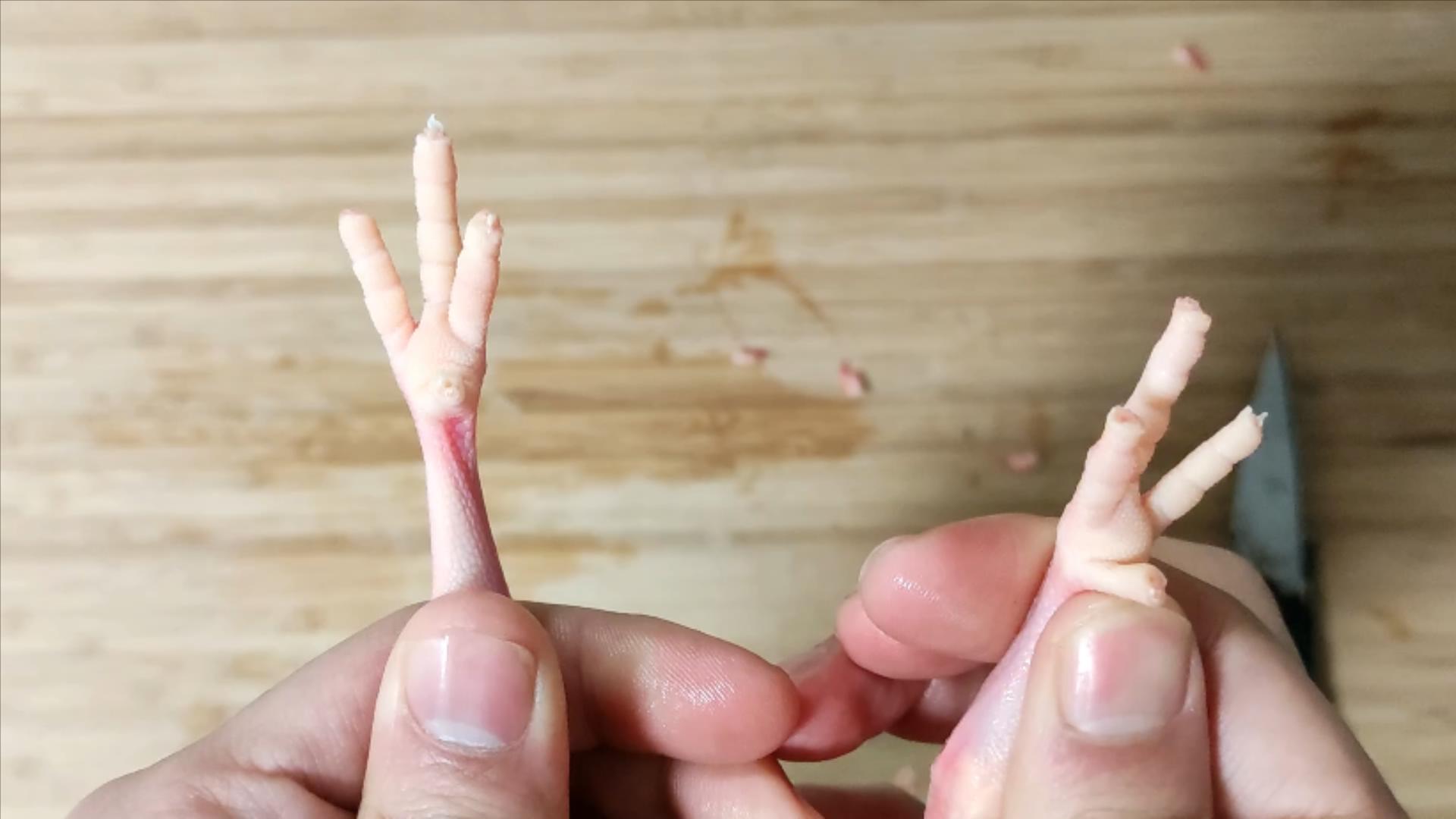 鸽子十大毒素排名,鸽子的毒素在哪里