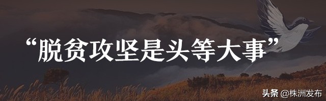 待到山花烂漫——追记“最美扶贫书记”黄诗燕
