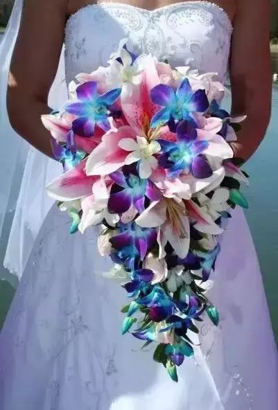 世界上最昂贵的花一朵价值1500万,世界上最高贵的花典雅图文