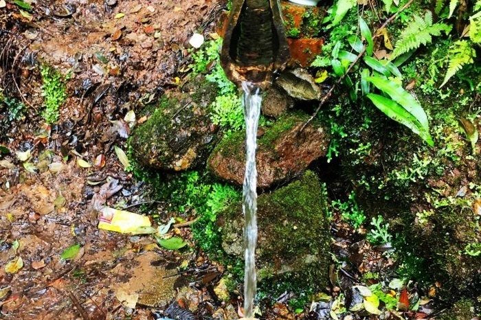 周末连城两日游，美景美食一路相伴