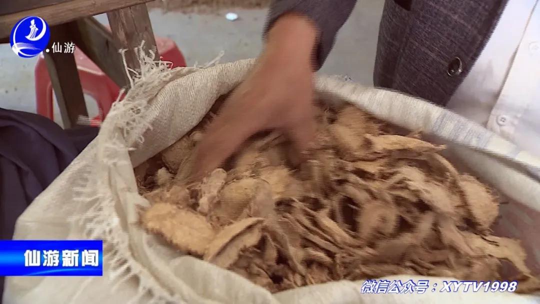 好果！仙游药农摸索这项提炼技术，竟然让大家收入