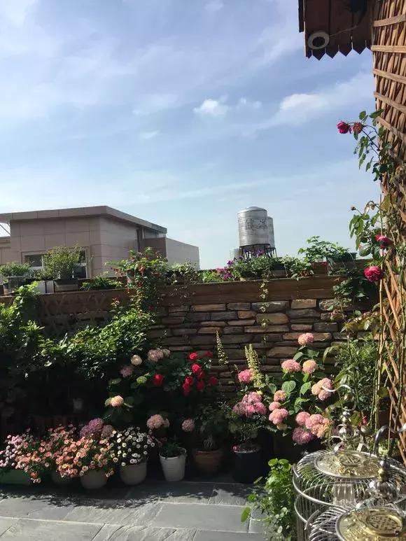 一家人经历了苦难但依然幸福,一家人经历种种磨难