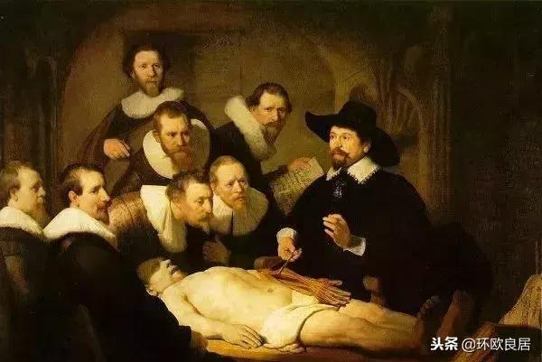 一生一“橙”迷:toNetherlands