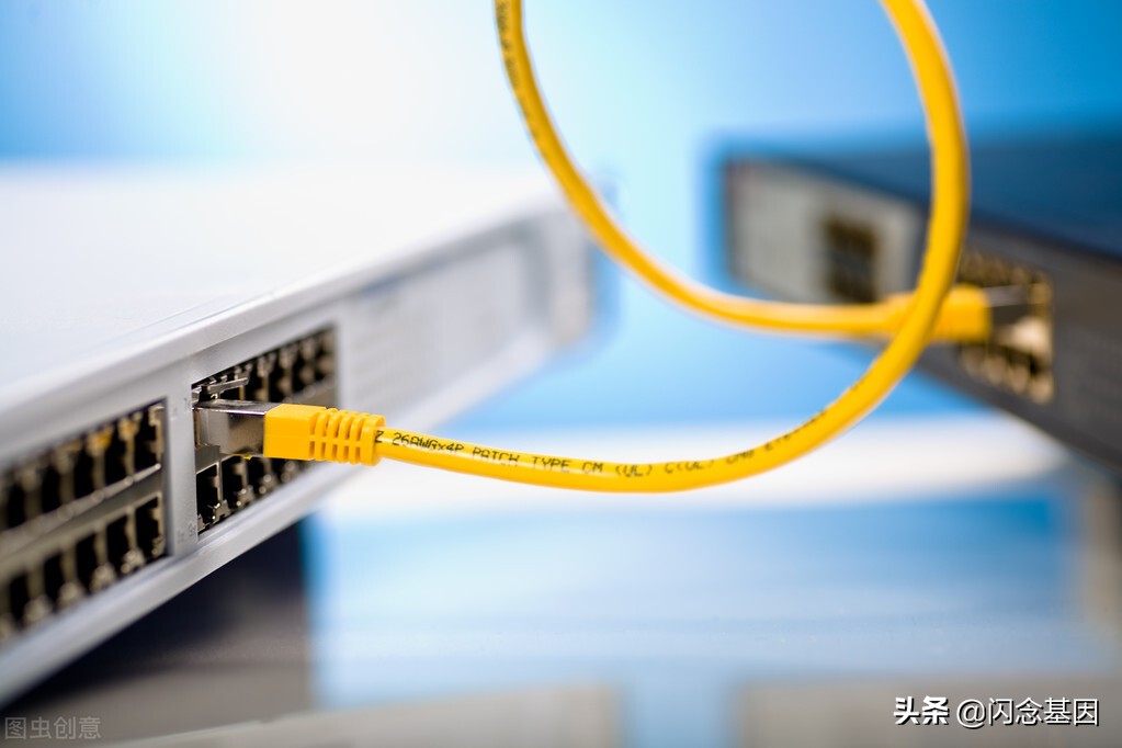 Go实践：Socket编程