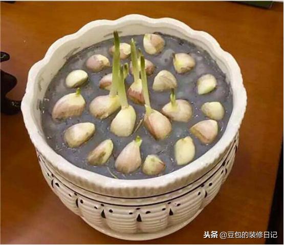 现在还流行硅藻泥装修吗,硅藻泥在现在装修好用吗