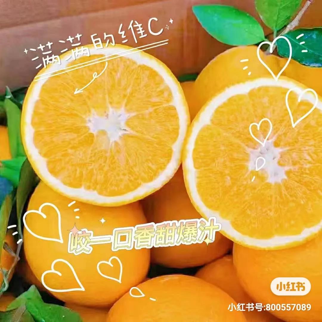 离城市很近离太阳很远,离城市很远离太阳很近的城市